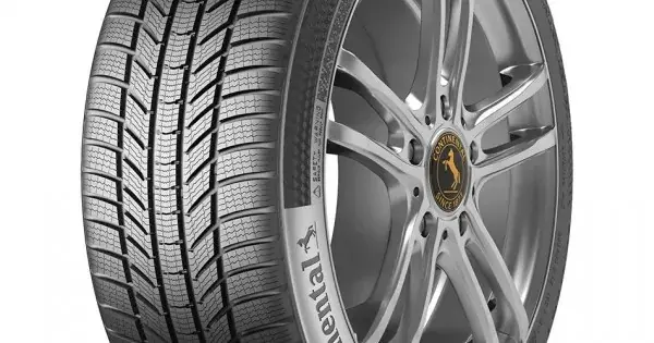 205/45 R17 CONTINENTAL WinterContact TS 870 P - Preț outlet